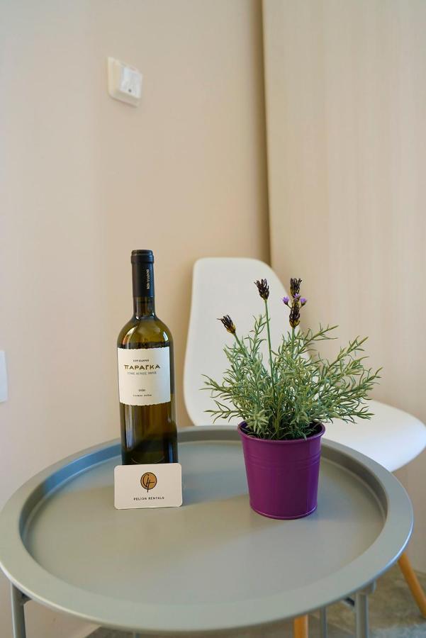 Charikleia'S 2 Bedroom Appartment In Pelion Волос Екстериор снимка